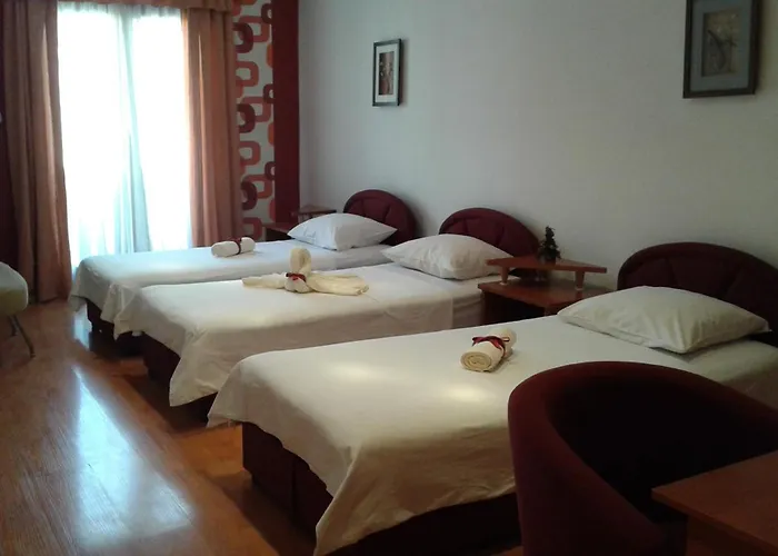 Ani & Center Apartment