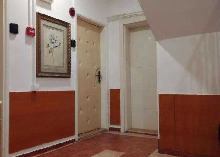 Ani & Center Apartment *